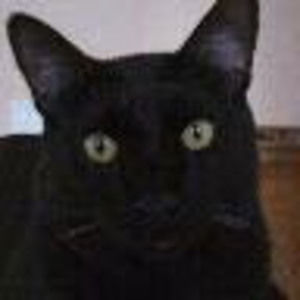 Meet your Posher, Danette